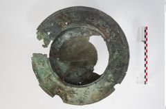 Foto von Bronzebreitrandfußschale (NHMW-PRAE-024138)